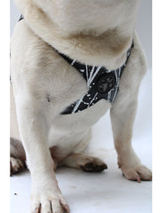 TUGGER - "So stoked! Finally a harness that fits my frenchie, Louis! It’s all in the details, and the fit is perfect!!"               ~GB, Louis' Mom VERIFIED CUSTOMER