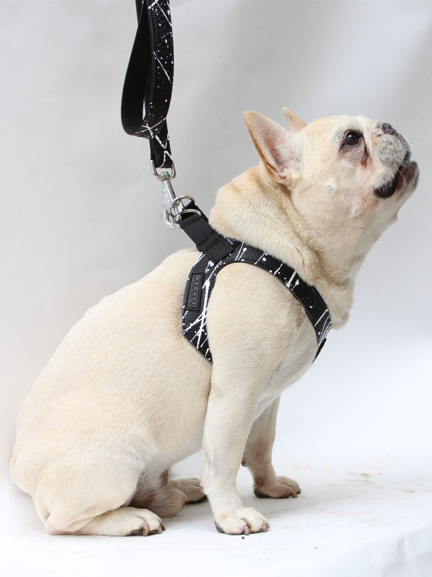 TUGGER - "So stoked! Finally a harness that fits my frenchie, Louis! It’s all in the details, and the fit is perfect!!"               ~GB, Louis&